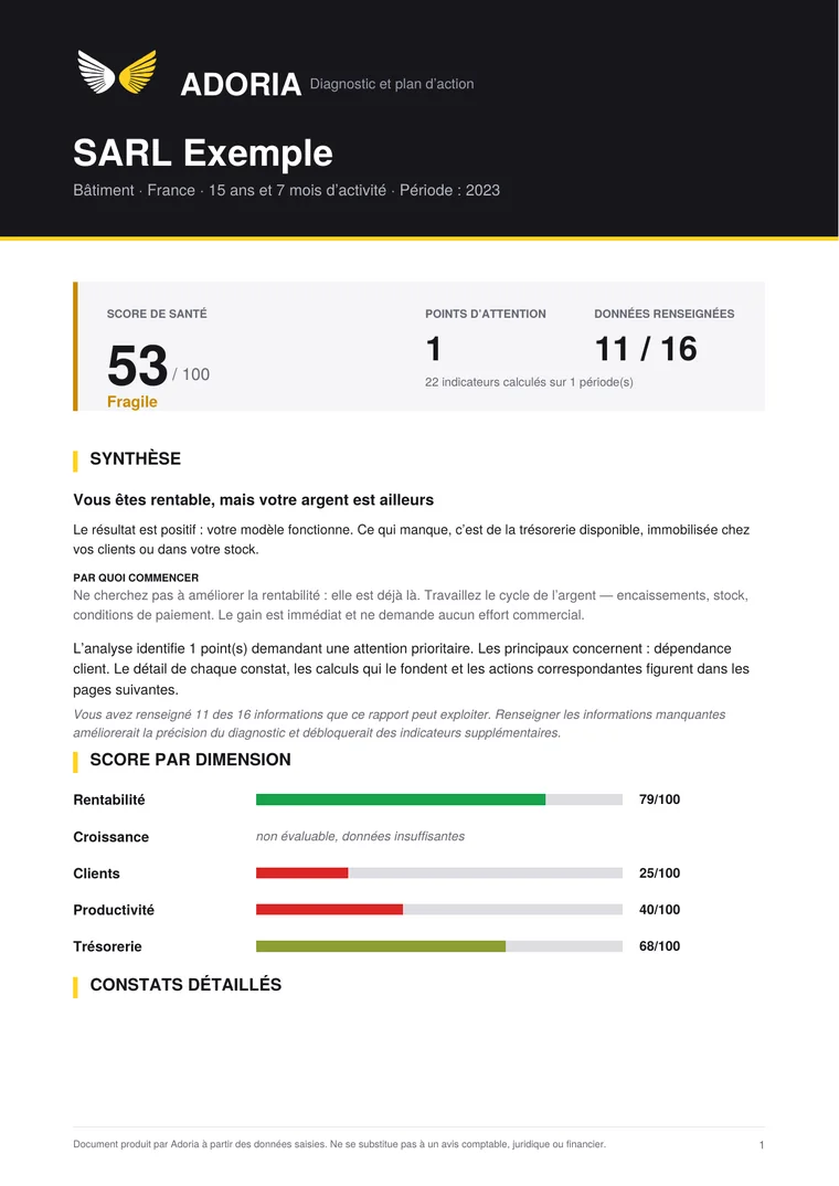 Première page du rapport : score de santé, synthèse en une phrase, et notes par dimension.